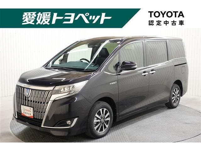 エスクァイア 愛媛トヨペット(株)四国中央店（愛媛県四国中央市）｜エムジェー