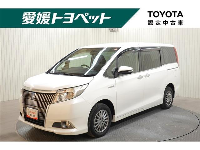 MIKI フォース　オルタナ　中古美車 MIKI FORCE NOVA alterna 車イス 車椅子｜Yahoo!フリマ（旧PayPayフリマ）