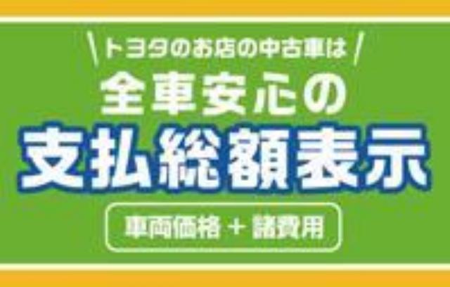 ヴォクシー（徳島県徳島市）