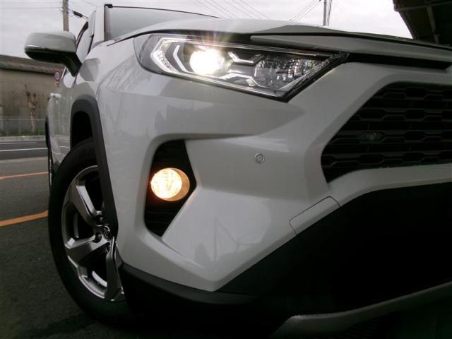 RAV4（徳島県吉野川市）