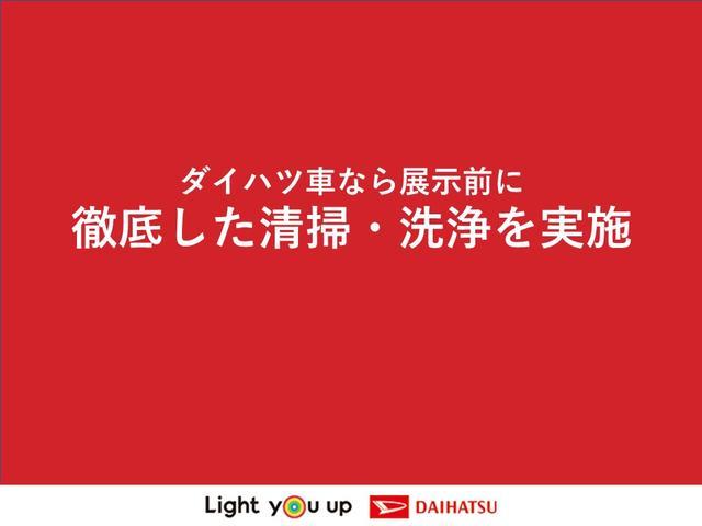 タント（徳島県三好市）画像43