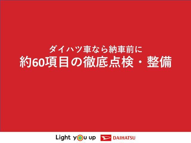 タント（徳島県三好市）画像51