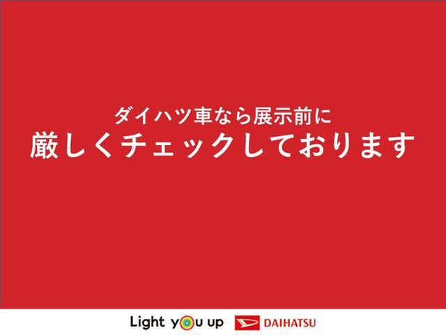 タント（徳島県三好市）