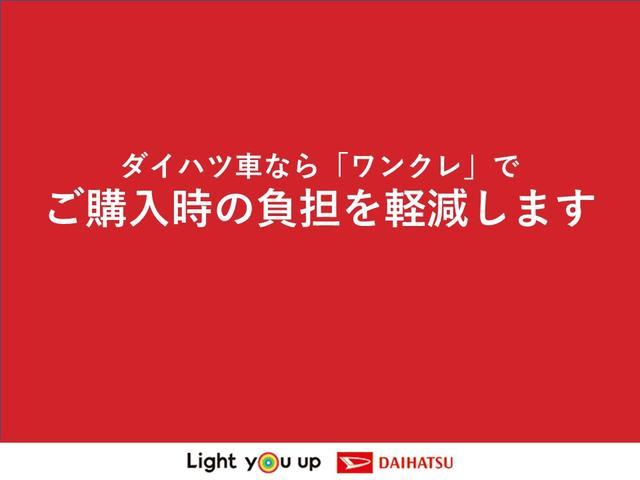 タント（徳島県三好市）