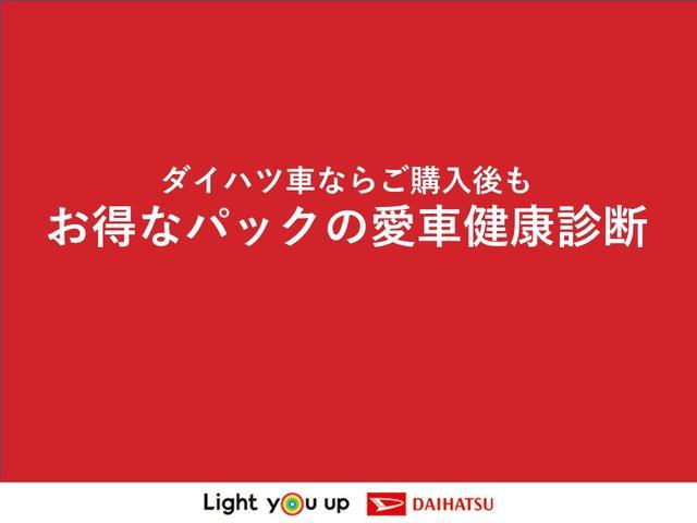 タント（徳島県三好市）画像65