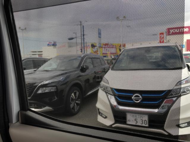 デイズルークス（徳島県板野郡藍住町）