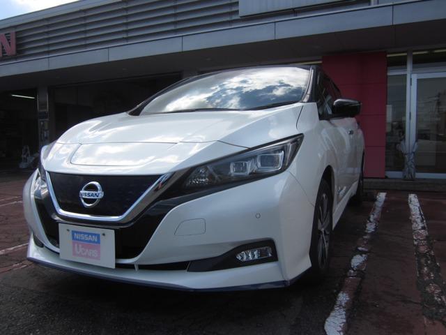 リーフ 日産プリンス香川販売(株) ギャラリー空港通り（香川県高松市）｜エムジェー