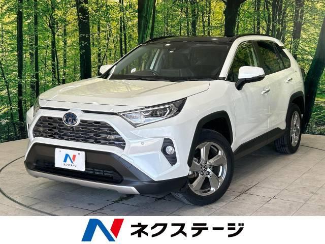 RAV4（香川県丸亀市）